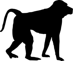 Monkey Shape Line Art Illustration Svg, Free Vectors File